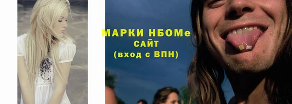 индика Нефтекумск