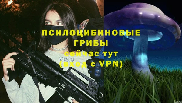 индика Нефтекумск
