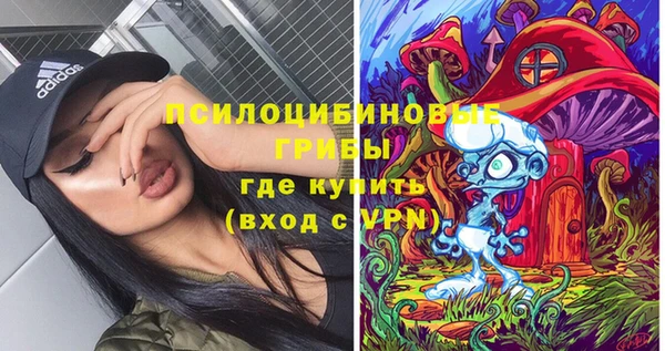 первитин Нея
