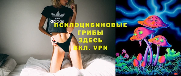 индика Нефтекумск