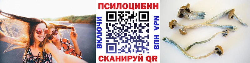 Галлюциногенные грибы прущие грибы  Купить закладки  Кашира 